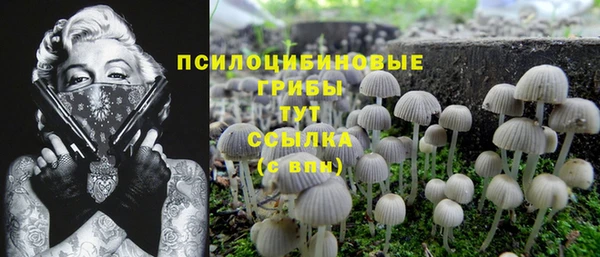 эйфоретик Лиски